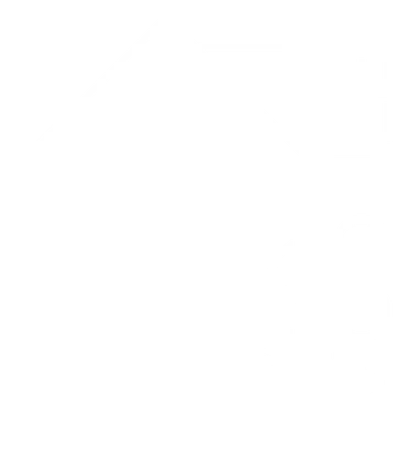 BlackModule